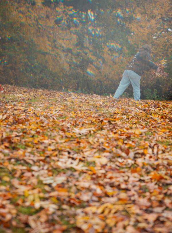 Enfants jouant avec des feuilles mortes