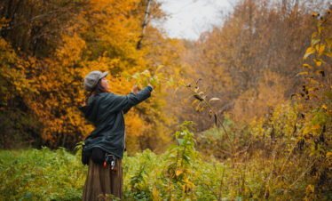 Couleurs d'automne