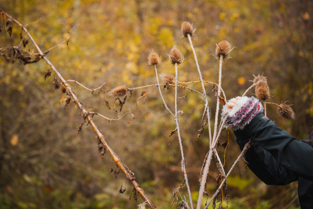 ado en balade en automne