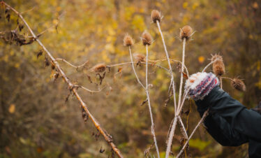 ado en balade en automne