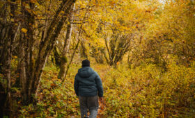 Enfant dans la nature en extérieur - tdah